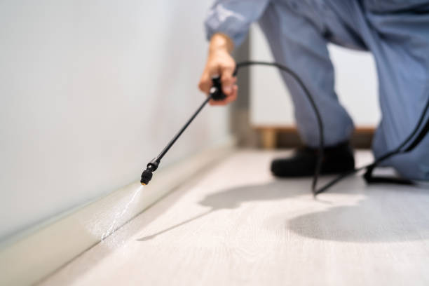 Certified termite inspector examining foundation in Garden City