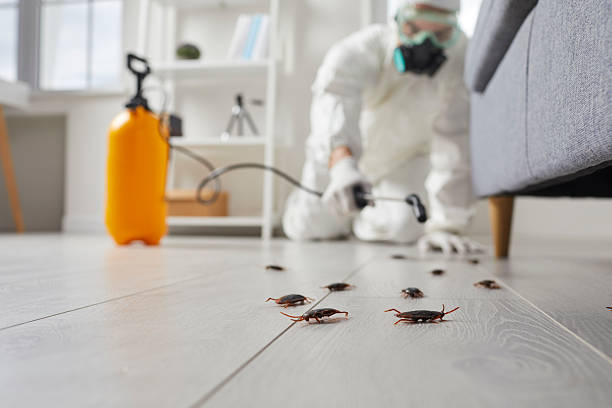 Commercial Rodent Management in Garden City